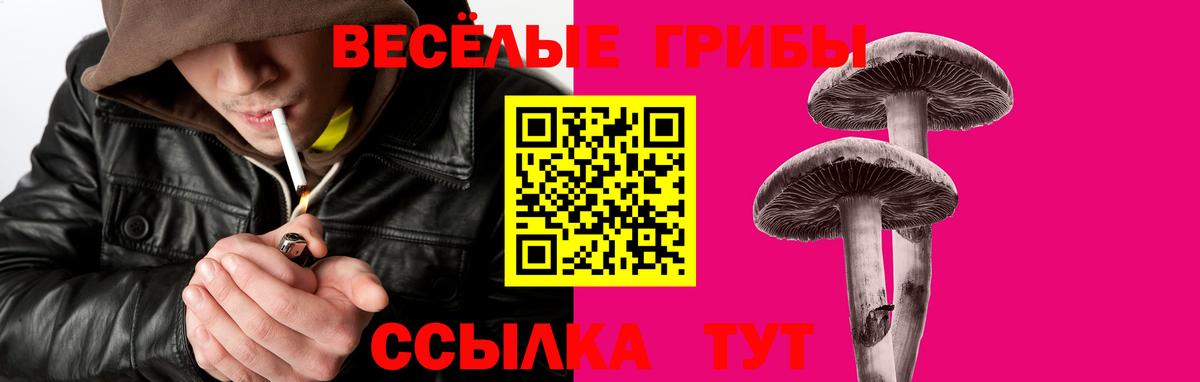 магазин  наркотиков  Галлюциногенные грибы GOLDEN TEACHER  Вход с VPN  Елец 